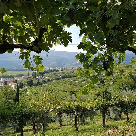 Agriturismo Valentina Cubi Fumane Bagian luar foto