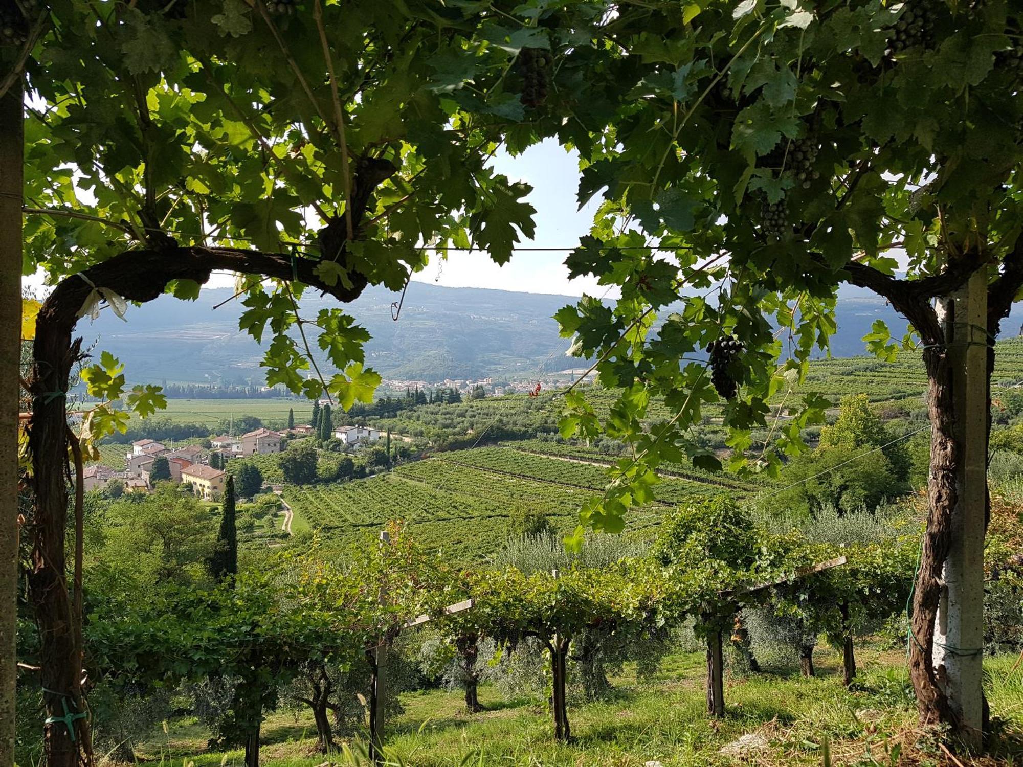 Agriturismo Valentina Cubi Fumane Bagian luar foto