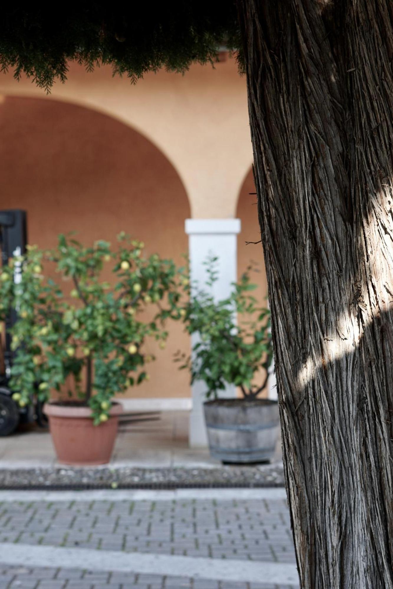Agriturismo Valentina Cubi Fumane Bagian luar foto