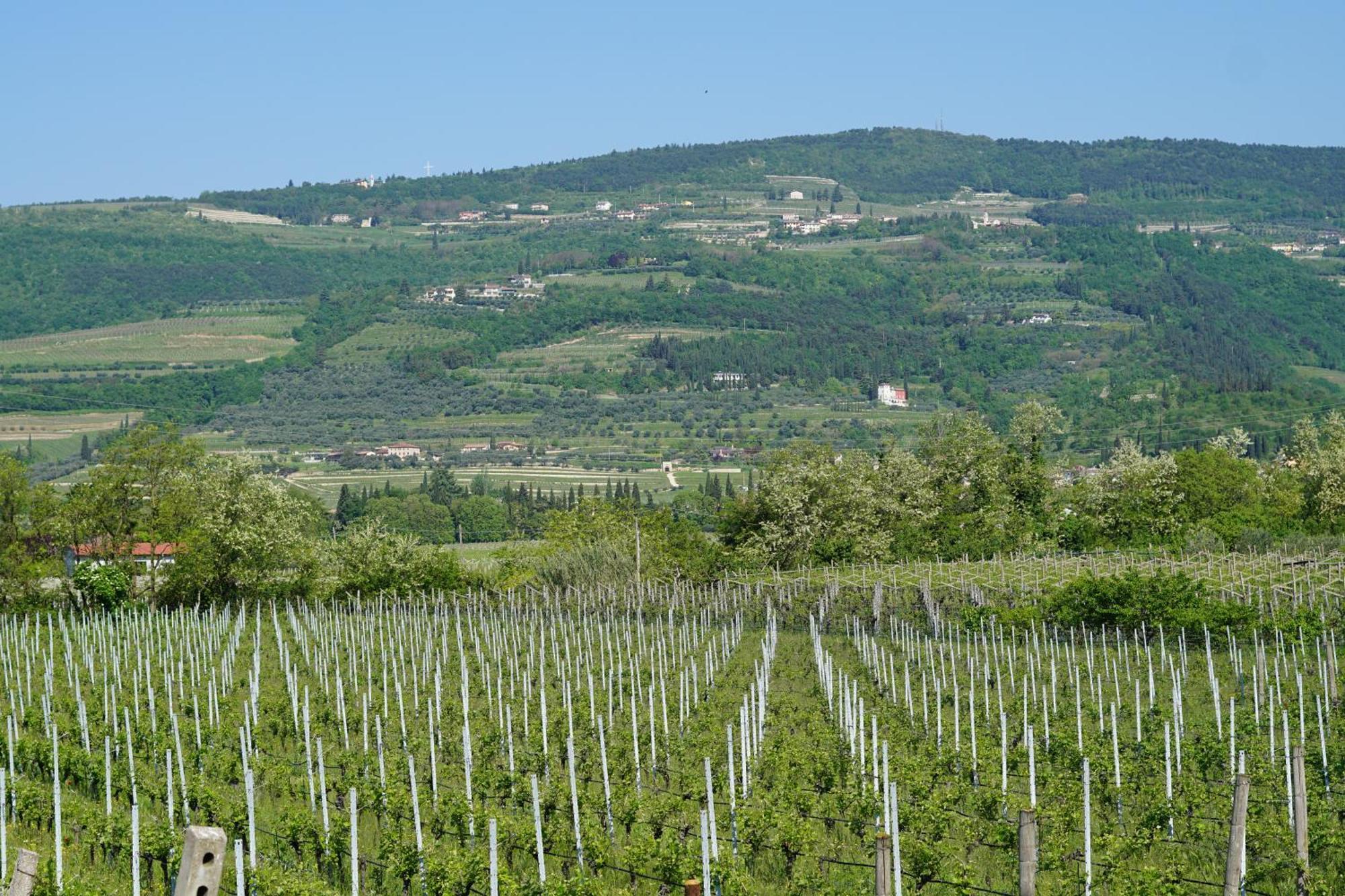 Agriturismo Valentina Cubi Fumane Bagian luar foto